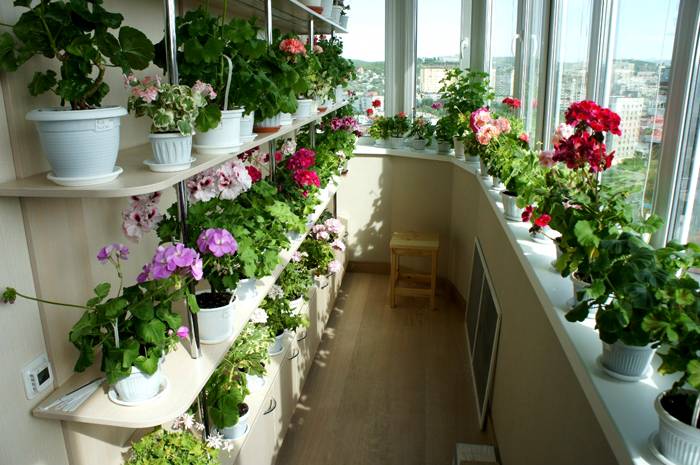 Висококачественият изолиран балкон може да се превърне в зимна градина