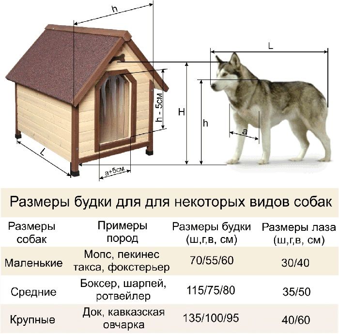 Размерът на къщата за кучета зависи от данните за породата. Имайки предвид тези показатели, те проектират не само външната част на сградата, но и правят отстъпка за изолация - това ще открадне малко място